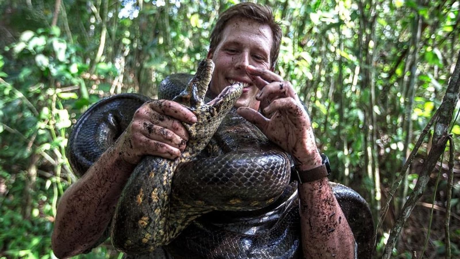 ‘World’s biggest snake’ discovered in Amazon; 26-feet long, weighs 200 kg- Video